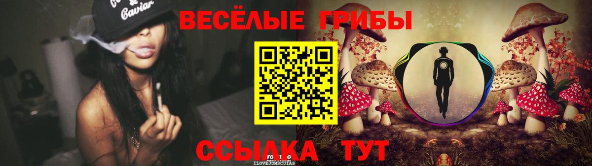 Галлюциногенные грибы Psilocybine cubensis Заводоуковск